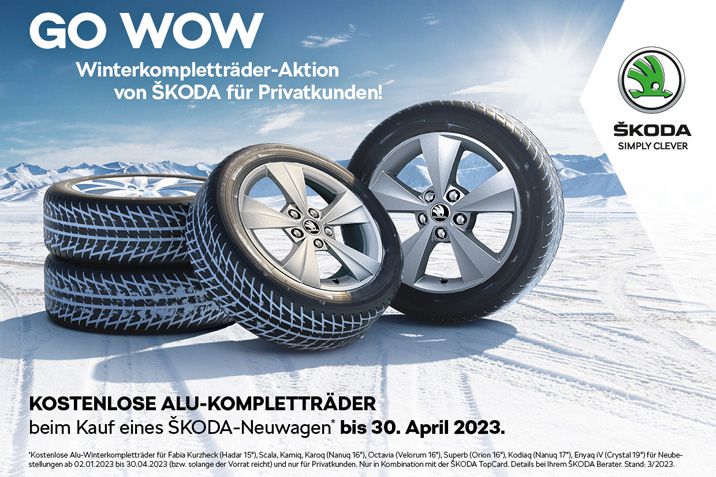 GO WOW Winterkompletträder Aktion